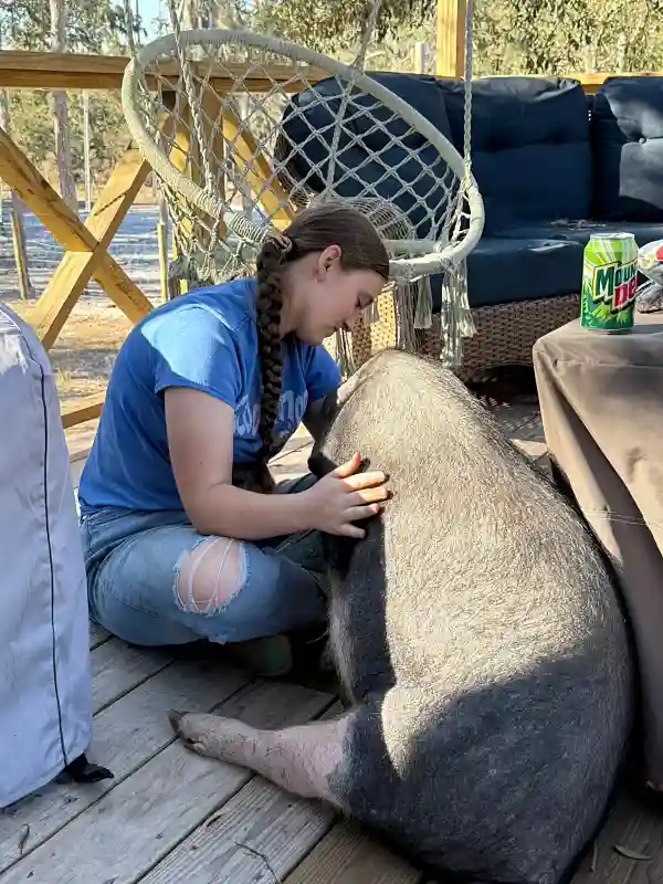Girl sitting on porch cuddling large pig